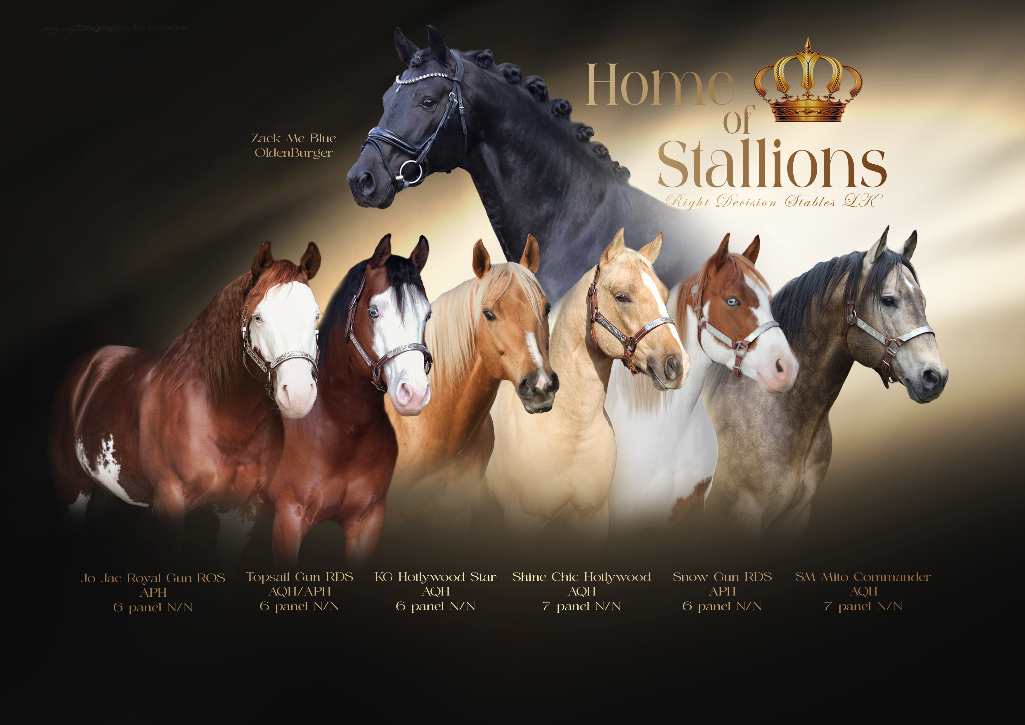 Home of stallions výsledna-3.jpg